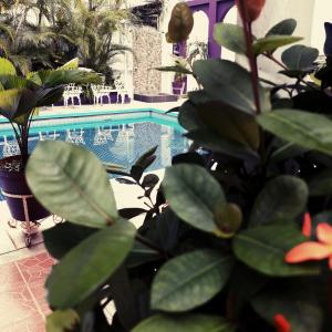 Fotografie z fotogalerie ubytování Hotel Michelle v destinaci San Andrés Tuxtla