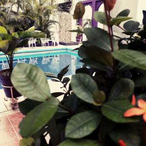 Fotografie z fotogalerie ubytování Hotel Michelle v destinaci San Andrés Tuxtla