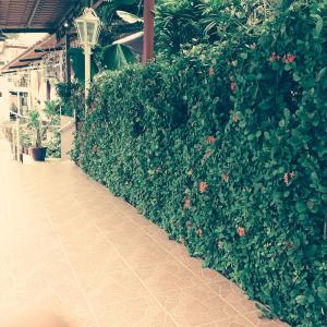 Fotografie z fotogalerie ubytování Hotel Michelle v destinaci San Andrés Tuxtla