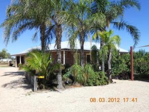 een huis met palmbomen ervoor bij Cabarita Lodge in Cabarita