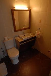 a bathroom with a toilet and a sink and a mirror at Ak Efe Hotel EDİRNE in Edirne