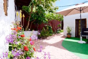 a garden with colorful flowers and an umbrella at Casa Madera in Icod de los Vinos