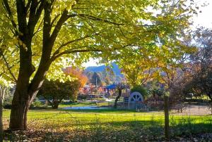 einen Park mit einem Baum inmitten eines Feldes in der Unterkunft RiverCottage-selfcontained in Marysville