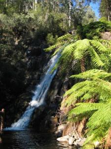 einem Wasserfall an der Seite eines Flusses mit Bäumen in der Unterkunft RiverCottage-selfcontained in Marysville