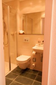 a bathroom with a toilet and a shower and a sink at Hotel Seethaler in Straubing
