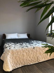 Ένα ή περισσότερα κρεβάτια σε δωμάτιο στο REEF APARTMENTS