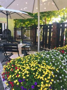 Κήπος έξω από το Pensiunea Vila Chesa