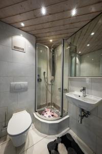 a bathroom with a shower and a toilet and a sink at Ferienwohnung Seerhein in Konstanz