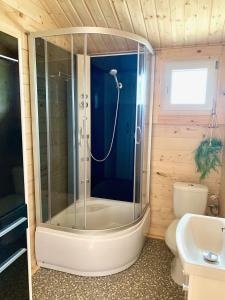 ein Bad mit einer Dusche und einem WC in der Unterkunft Osada Familia in Sarbinowo