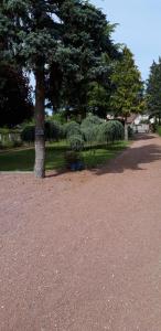 a tree sitting in the middle of a park at Chambre d'hote Chez Liz in Maslives