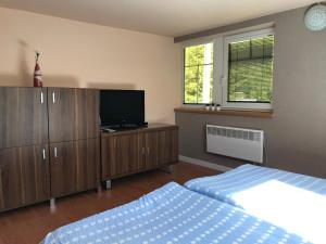 TV a/nebo společenská místnost v ubytování Beach Pension