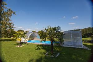two palm trees in front of a building with a swimming pool at Ferienhaus Regina in Walkertshofen +18 photos