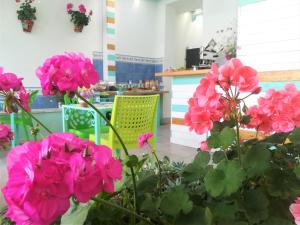 Gallery image of Camere D'Aragona in Otranto