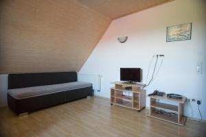 a living room with a couch and a television at Ferienhaus Regina in Walkertshofen