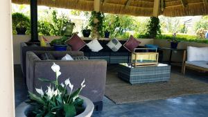 卡萨内The Residence Villa Chobe的客厅配有沙发和植物桌子