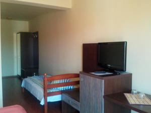 a living room with a tv and a couch at Pensiunea Ruxandra la 100 m de Aqua Park Venus in Baile Unu Mai