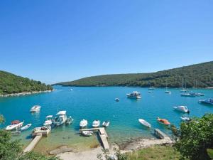 a bunch of boats are docked in a lake at Holiday Home Lupetina by Interhome in Hreljići