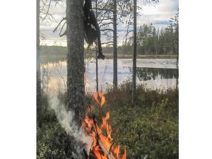 een vuur in het gras naast een meer bij Holiday Home Virsuniemi by Interhome in Piispajärvi