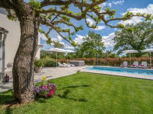 a yard with a tree and a swimming pool at Holiday Home Villa Marina by Interhome in Vošteni