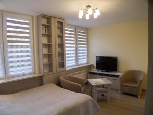 a bedroom with a bed and a desk and a television at Studio Park Saski 1 & 2 in Sandomierz