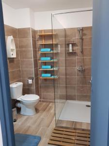 ein Badezimmer mit einem WC und einer Glasduschkabine in der Unterkunft 60m2, 2 chambres proche Hérault & plages in Agde
