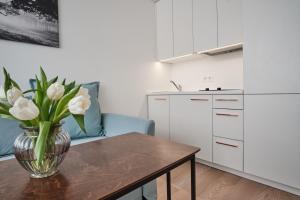 Кухня или мини-кухня в Cosy studio near Akropolis and Švyturio arena
 +20 фотографий