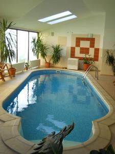 a large swimming pool in a building with plants at Casa Domneasca in Curtea de Argeş