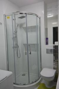 Kúpeľňa v ubytovaní Apartamenty Marii Konopnickiej + 8 fotografií