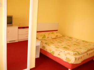 ein kleines Schlafzimmer mit einem Bett und einem TV in der Unterkunft Vila Anna in Sovata