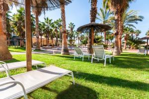 O grădină în afara Hotel Alicante Golf