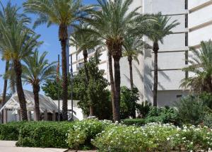 Zahrada ubytování King Solomon Hotel Tiberias