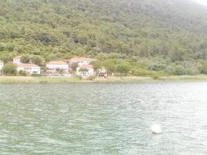 a swan in a lake with houses in the background at Apartment Rita in Ston