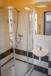 a bathroom with a shower and a sink at BeskidPark in Bielsko-Biała +44 photos