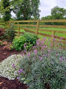 a garden with flowers in front of a wooden fence at Nick & Sandra's in Slane +18 photos