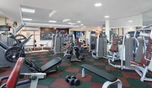 Fitness centrum a/nebo fitness zařízení v ubytování King Solomon Hotel Tiberias