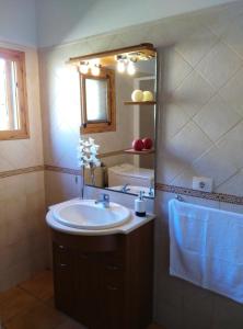 een badkamer met een wastafel en een spiegel bij Peaceful house set on a vineyard & work friendly in Valsequillo