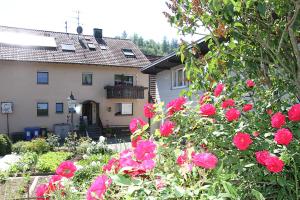 una casa con fiori rosa di fronte di Apartment Baden Baden Haus am Ibachweg a Baden-Baden