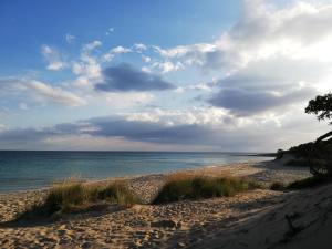 a sandy beach with a view of the ocean at B&B Vie En Rose in Porto Cesareo +34 photos