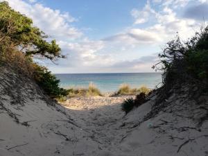 a sandy beach with the ocean in the background at B&B Vie En Rose in Porto Cesareo