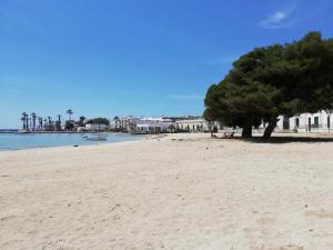 a tree on a sandy beach with water and buildings at B&B Vie En Rose in Porto Cesareo
