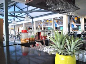 um bar com copos e uma planta num balcão em Les Aigrettes em Saint-Gilles-les-Bains