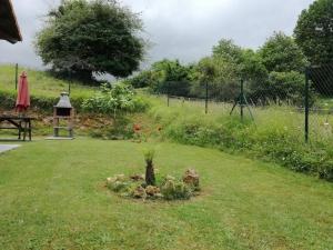 un jardín con un pequeño árbol en la hierba en Apartamentos La Senda, en San Juan de Parres