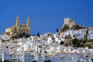 a group of white houses on a hill with a church at Casa Cal y Sol in Olvera