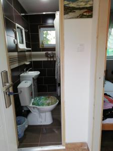 a bathroom with a toilet and a sink at Angelinin Konak in Negotin