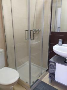 a bathroom with a shower and a toilet and a sink at Apartamento en Ribeira(centro) 4* planta in Ribeira