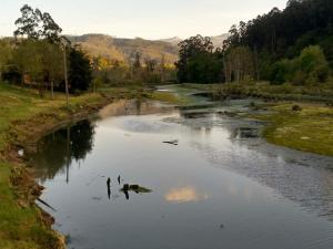 Fotografie z fotogalerie ubytování Posada Restaurante Casa Juanchu v destinaci Adino