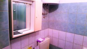 a purple bathroom with a toilet and a mirror at Apartments Niko Metajna, island Pag in Metajna
