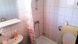 a bathroom with a shower with a toilet and a sink at Apartments Niko Metajna, island Pag in Metajna