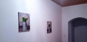 two pictures of flowers in a vase on a wall at Apartments Niko Metajna, island Pag in Metajna