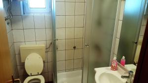 a small bathroom with a toilet and a sink at Apartments Niko Metajna, island Pag in Metajna